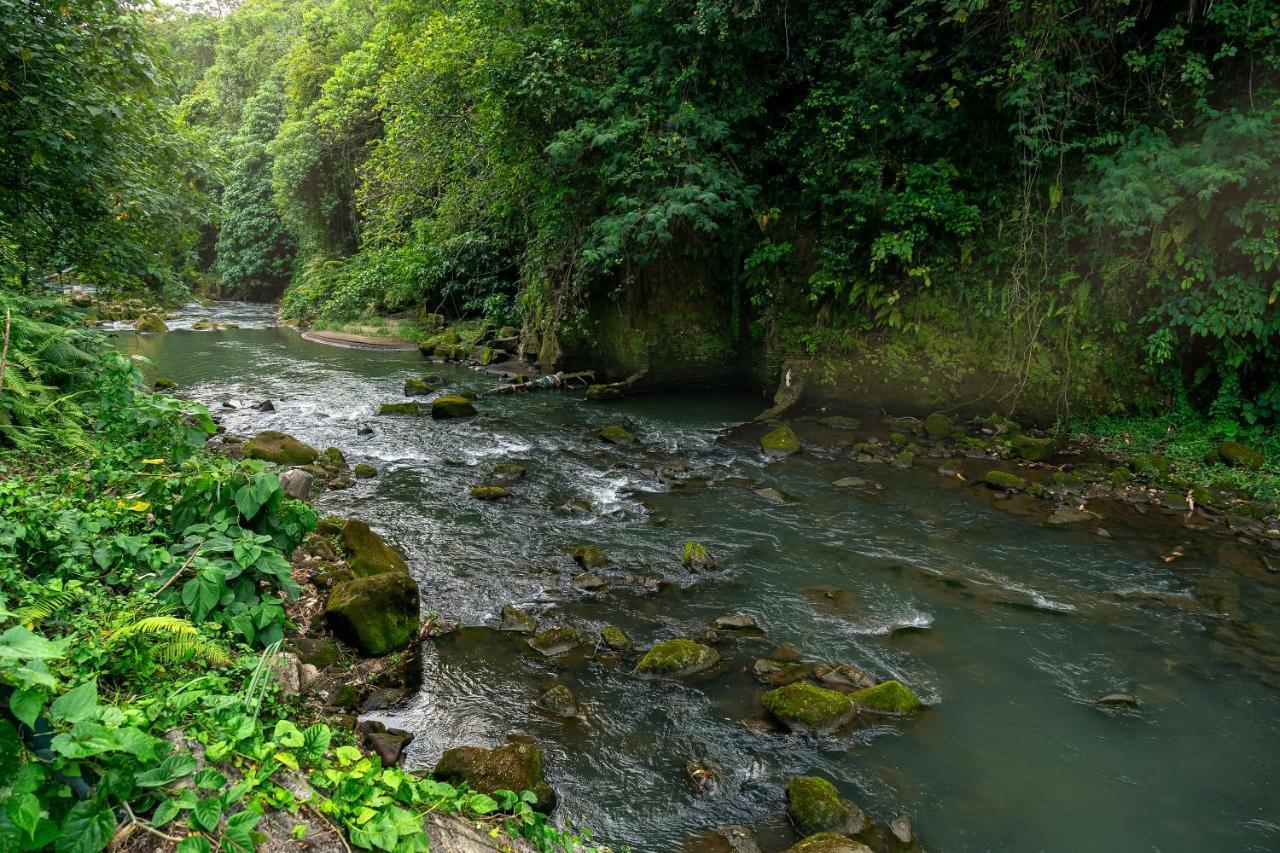 The Pyramid Ubud River Villas กีอันยาร์ ภายนอก รูปภาพ