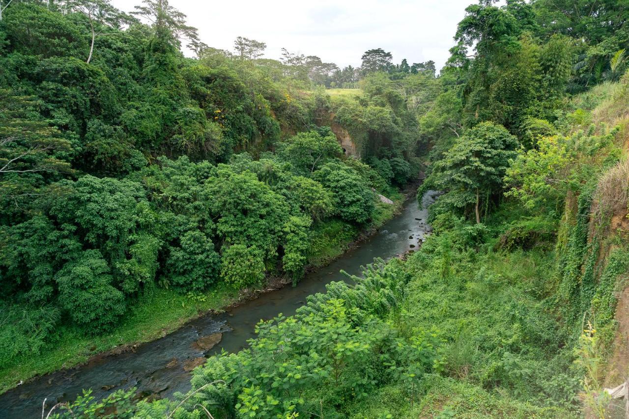 The Pyramid Ubud River Villas กีอันยาร์ ภายนอก รูปภาพ